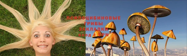 хмурый Бородино