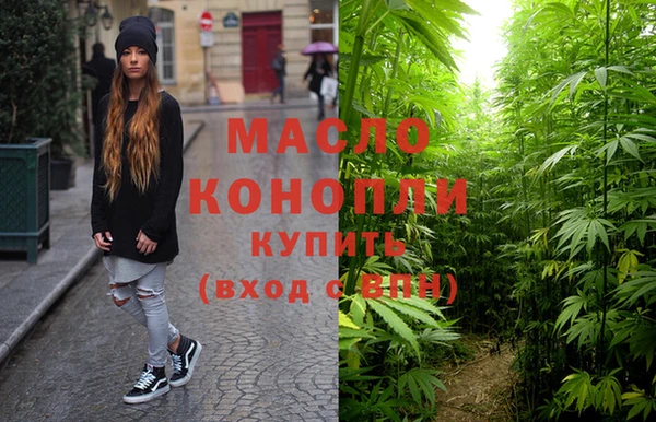 соль ск Верхний Тагил